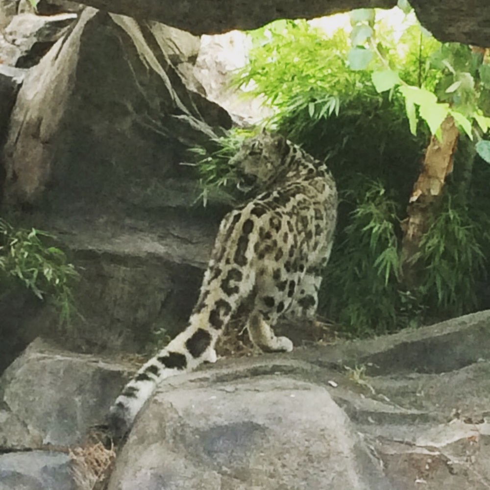 Meet your Posher, Katherine